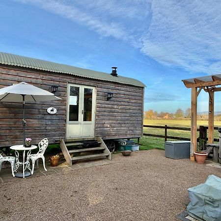 Bron Hafren Bed and Breakfast Montgomery Εξωτερικό φωτογραφία