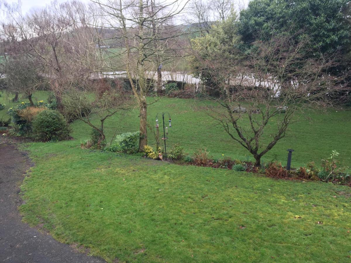 Bron Hafren Bed and Breakfast Montgomery Εξωτερικό φωτογραφία