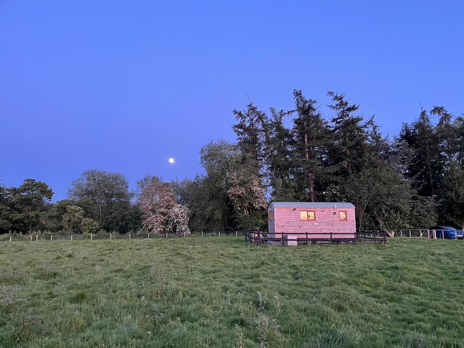 Bron Hafren Bed and Breakfast Montgomery Εξωτερικό φωτογραφία